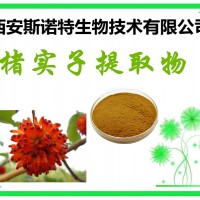 楮實子提取物 楮實子原粉 楮實子原料提取 包郵