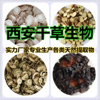 雙孢蘑菇天然濃縮浸膏 供應菇類菌類濃縮流浸膏易溶顆粒