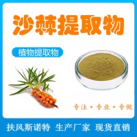 沙棘提取物 扶風斯諾特工廠