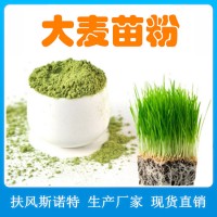 大麥苗粉 大麥苗粉廠家 扶風斯諾特