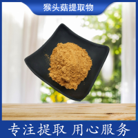 猴頭菇提取物 原料工廠 速溶猴頭菇粉
