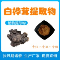 白樺茸提取物 樺樹茸提取物 扶風斯諾特工廠