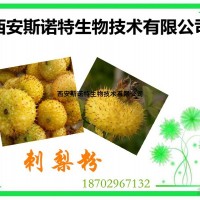 刺梨果粉 刺梨粉 現(xiàn)貨包郵 斯諾特發(fā)貨