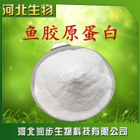 食品級 魚膠原蛋白 魚膠原蛋白肽 小分子肽
