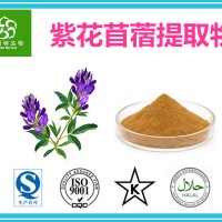 紫花苜蓿提取物 紫花苜蓿黃酮 多糖 皂甙 規(guī)格多樣 包郵