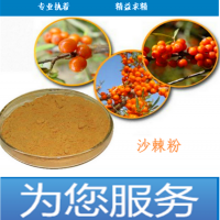 沙棘提取物 寧夏種植基地原料