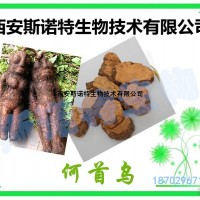 何烏提取物 何烏粉 提取物 包郵