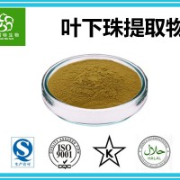 葉下珠提取物 比例 10:1 葉下珠粉 扶風生產基地包郵