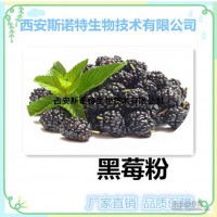黑莓速溶粉 水溶性果粉 源頭廠家現(xiàn)貨