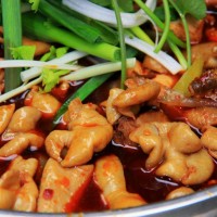正宗四川肥腸雞肥腸魚底料批發廠家-技術指導BL2600