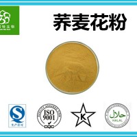 蕎麥花粉 破壁蕎麥花粉 98%含量 現貨包郵