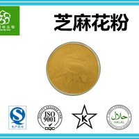 芝麻花粉 破壁芝麻花粉 98%含量 廠家可接受訂貨