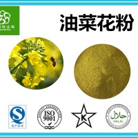 油菜花粉 蜂花粉 破壁油菜花粉 新資源食品原料 供應