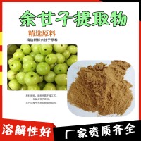 余甘子提取物 庫存充足 濃縮粉  余甘子粉 目數80目