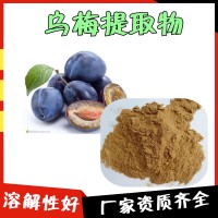 烏梅提取物 庫存充足 濃縮粉 目數80目 烏梅粉