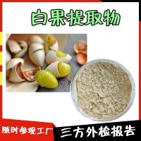 白果提取物 8條生產線  白果粉  提供三方外檢報告