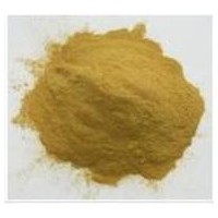 巖藻黃質 天然提取物巖藻黃質 巖藻黃質價格/廠家
