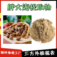 胖大海提取物 8條生產線  提供三方外檢報告