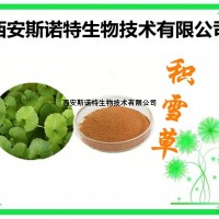 積雪草提取物 斯諾特生物 原料植提 基地種植