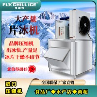 自動商用超市海鮮水產片冰制冰機設備