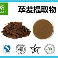 蓽茇提取物 10:1蓽茇粉 水溶性 扶風斯諾特生產基地工廠