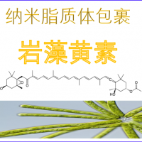 納米脂質體包裹巖藻黃素