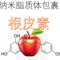 納米脂質體包裹根皮素