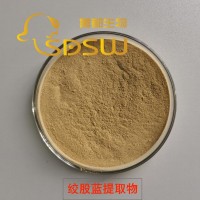 大量現貨植物提取物：香菇、絞股藍提取物、杜仲、連翹提取物等
