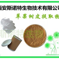 蘋果樹皮提取物 含根皮甙 根皮素 包郵發貨