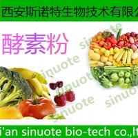 蓮藕酵素粉 蓮藕粉 酵素粉 廠家現(xiàn)貨供應