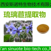 琉璃苣提取物 提取物 現(xiàn)貨包郵 可試樣