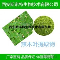 【新資源食品】辣木葉提取物 辣木葉粉 100目