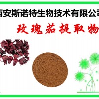 玫瑰茄提取物  玫瑰茄花青素 可試樣 現貨供應