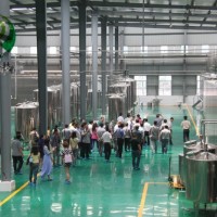 β煙酰胺單核苷酸98%