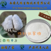 棉籽低聚糖 棉子低聚糖98% 棉籽糖 新資源食品