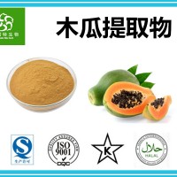 木瓜提取物 高比例提取粉 木瓜噴霧干燥粉 源頭工廠直銷