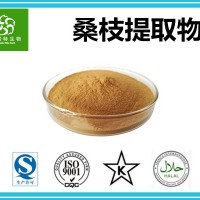 桑枝提取物 濃縮桑枝粉 10:1規格 源頭工廠 自產自銷