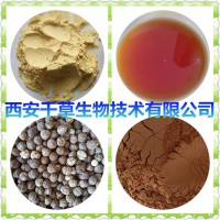 楊樹花提取物楊樹花濃縮粉楊樹花浸膏粉