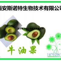 牛油果提取物/鱷梨提取物 量大從優(yōu) 現(xiàn)貨
