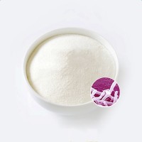 乳雙歧桿菌100億活菌益生菌固體飲料原料生產(chǎn)廠家供應