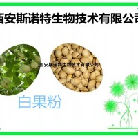 白果粉 銀杏果粉 斯諾特生物 包郵