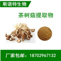 茶樹菇提取物 茶樹菇濃縮粉速溶粉浸膏 包郵