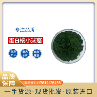 小球藻粉99% 破壁小球藻粉  綠藻粉 小球藻提取物