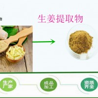 食品級 生姜提取物 姜茶原料 云南小黃姜提取物 批發廠家