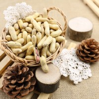 花生重金屬檢測項(xiàng)目,花生農(nóng)殘檢測報(bào)告,花生營養(yǎng)成分檢測機(jī)構(gòu)
