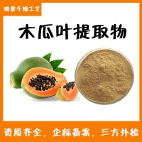 木瓜葉提取物  三方檢測報告 規格10:1