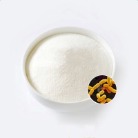 益生菌生產(chǎn)鼠李糖乳桿菌LR41功能型食品配料凍干粉可代工定制