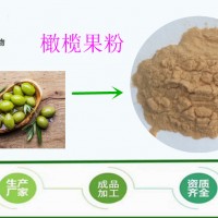 橄欖苦甙規(guī)格20%  品牌廠家 橄欖葉提取物 批發(fā)供應(yīng)