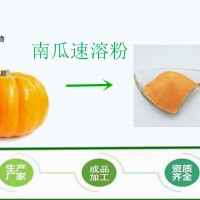 天然果蔬粉 南瓜粉 速溶 烘焙原料 小金瓜粉 斯諾特批發(fā)