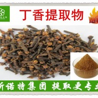 丁香提取物 精選公丁香提取 西北植提專家 品質穩定